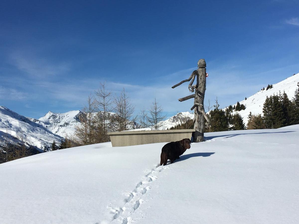 Aparthotel Zum Wohle Oberwoelz Stadt Esterno foto
