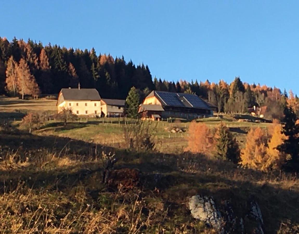 Aparthotel Zum Wohle Oberwoelz Stadt Esterno foto